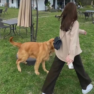 特务乌龙王